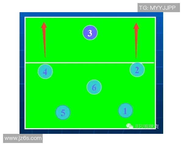杭州排球队的战术控制解析与未来发展展望